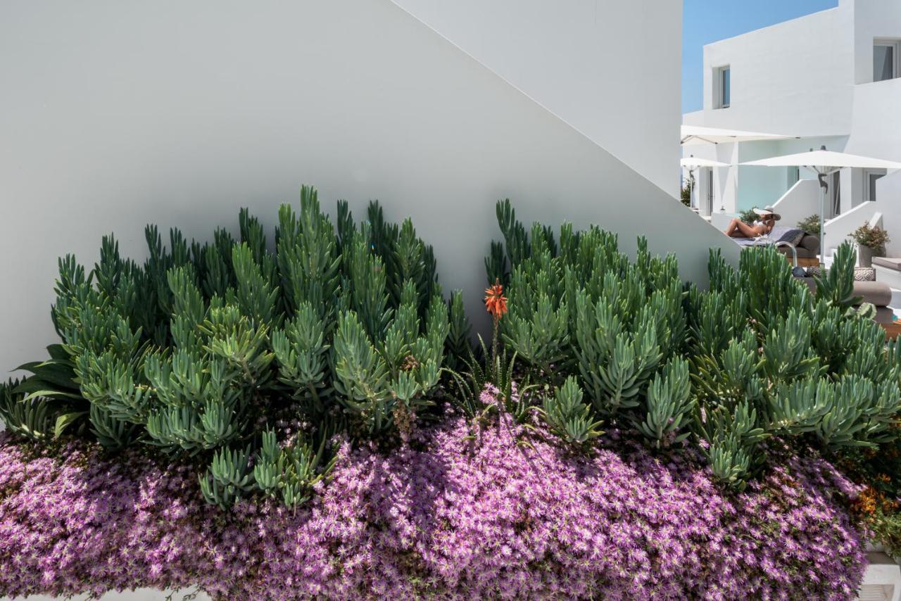 Akra Suites & Spa Imerovigli  Exterior foto